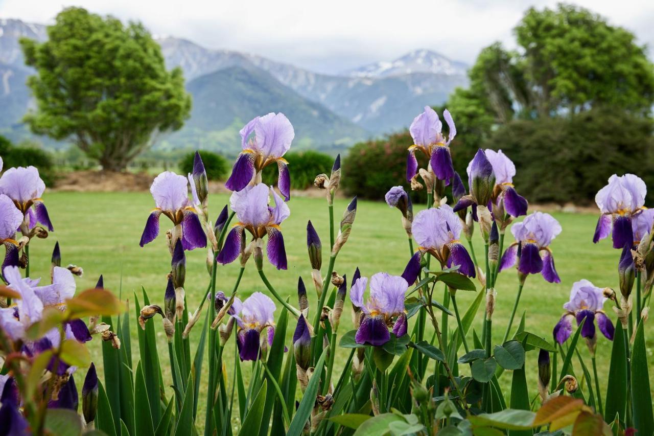 Awatea Country Bed & Breakfast Καϊκούρα Εξωτερικό φωτογραφία