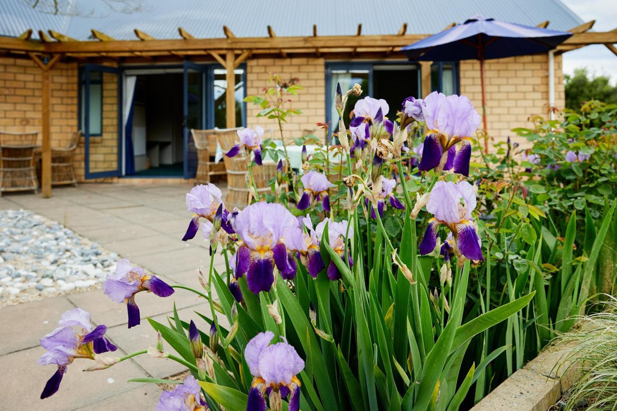 Awatea Country Bed & Breakfast Καϊκούρα Εξωτερικό φωτογραφία