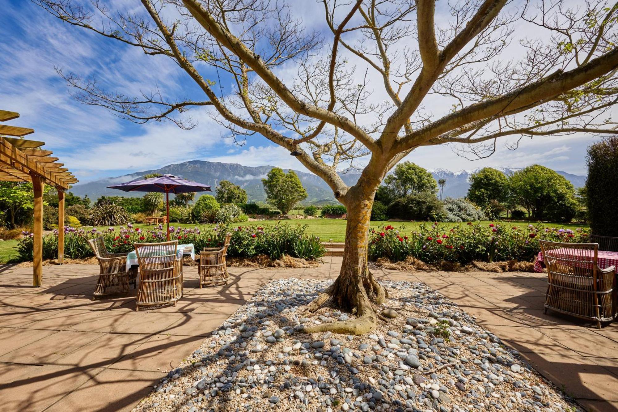 Awatea Country Bed & Breakfast Καϊκούρα Εξωτερικό φωτογραφία